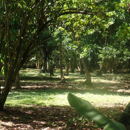 Hosteria Real Hotell Santa Fe de Antioquia Eksteriør bilde